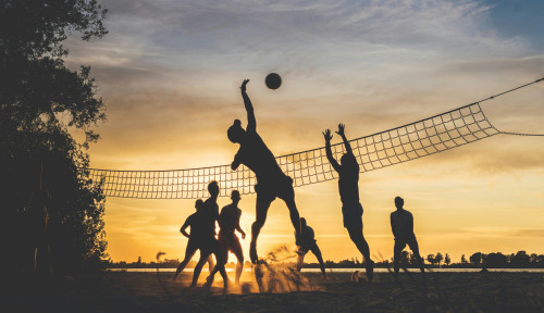 Des joueurs de beach-volley à l'action